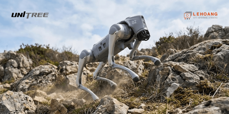 Robot chó Unitree Go2 đang hoạt động trên địa hình đồi núi phức tạp với khả năng vận động linh hoạt