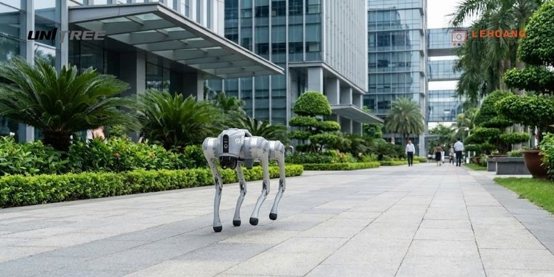 Robot 4 chân Unitree Go2 tuần tra trong khuôn viên công ty tại Việt Nam