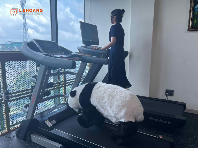 Robot thú cưng Go2 Panda trong không gian gia đình hiện đại