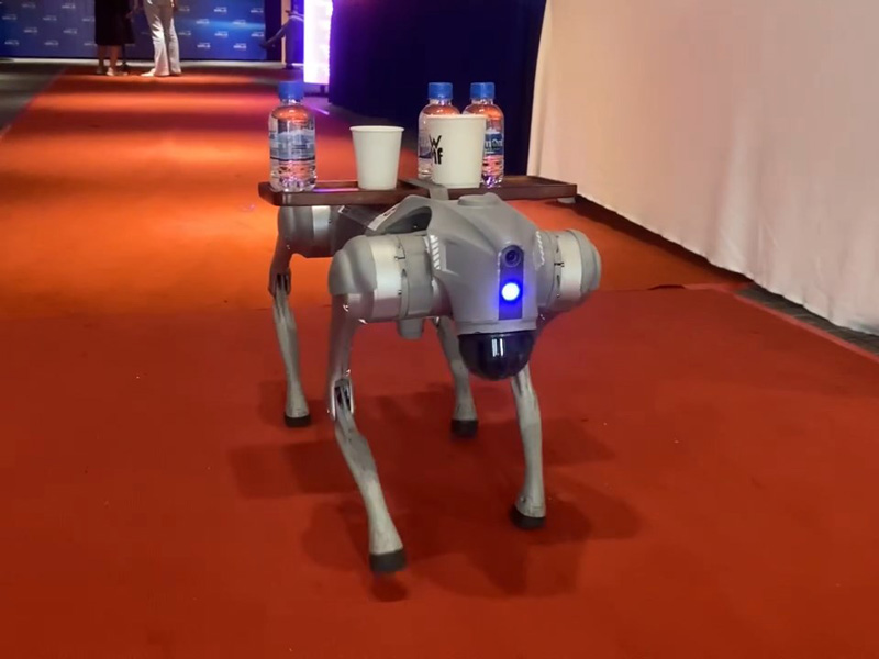 Kỷ nguyên AI: Lê Hoàng trình diễn robot Unitree và Dobot