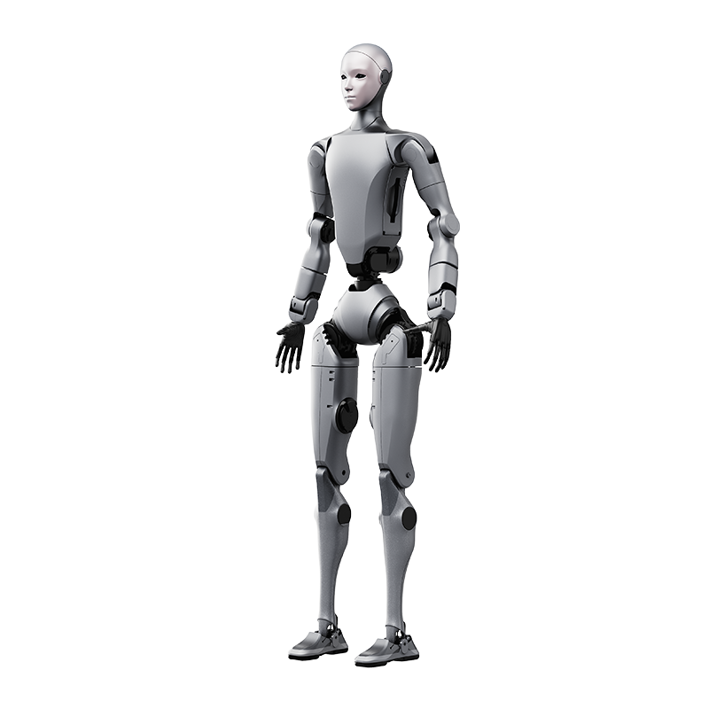 Humanoid H2
